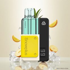 Snowplus Swift 5000 Puffs Prefilled Pod Kit Ananas Is (1000 mAh, 2+10 ml)