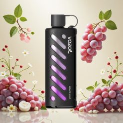 VOZOL Gear Shisha 25000 Puffs Druemynt med 30 deilige smaker og Dual Mesh Dual Modes