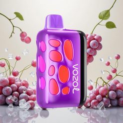 VOZOL RAVE 40000 Engangsvape med 1000mAh Batteri og Drueis