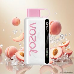 VOZOL STAR 9000/12000 Engangs Vape Fersken Is med Raskere Lading og Gjenbruksplast