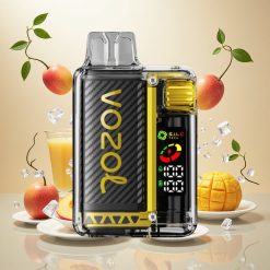VOZOL Vista 20000 Puffs Gjenoppladbar med 650mAh Batteri og Mango Is