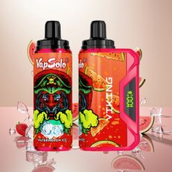VapSolo VIKING 12000 Puffs Engangs Vape 22ml Vannmelon Is