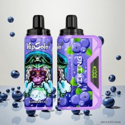 VapSolo VIKING 12000 Puffs Engangsbatteri Blåbær med 22ml E-væske og Type-C-lading