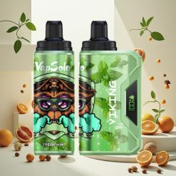 VapSolo VIKING 12000 Puffs Engangsvaper med Frisk Mynte & 22 ml E-væske