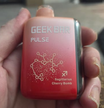 Geek Bar Pulse 15000 Puffs