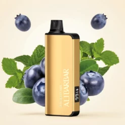 ALIBARBAR INGOT Blåbær Mint Engangsvape 9000 Drag – 22 ml E-væske